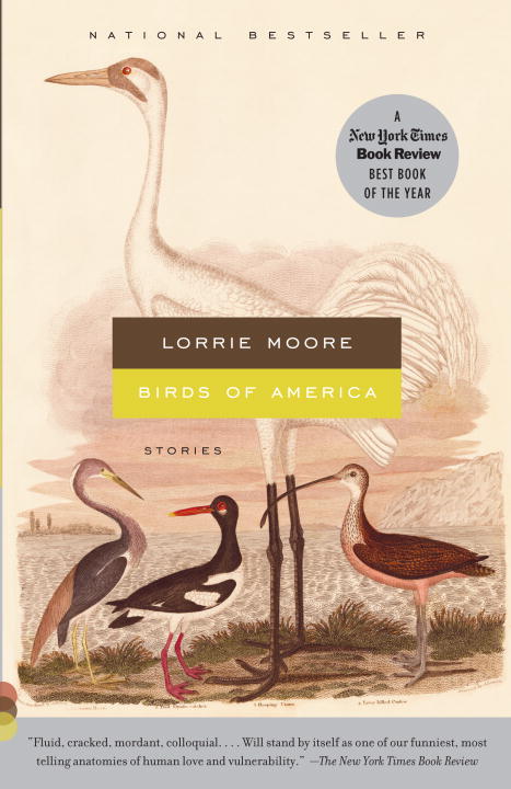 Oiseaux d'Amérique
