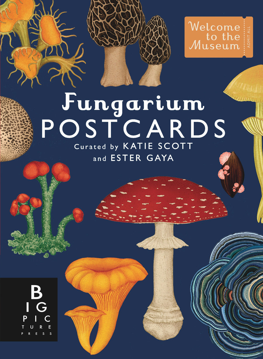 Fungarium Postcard Box Set