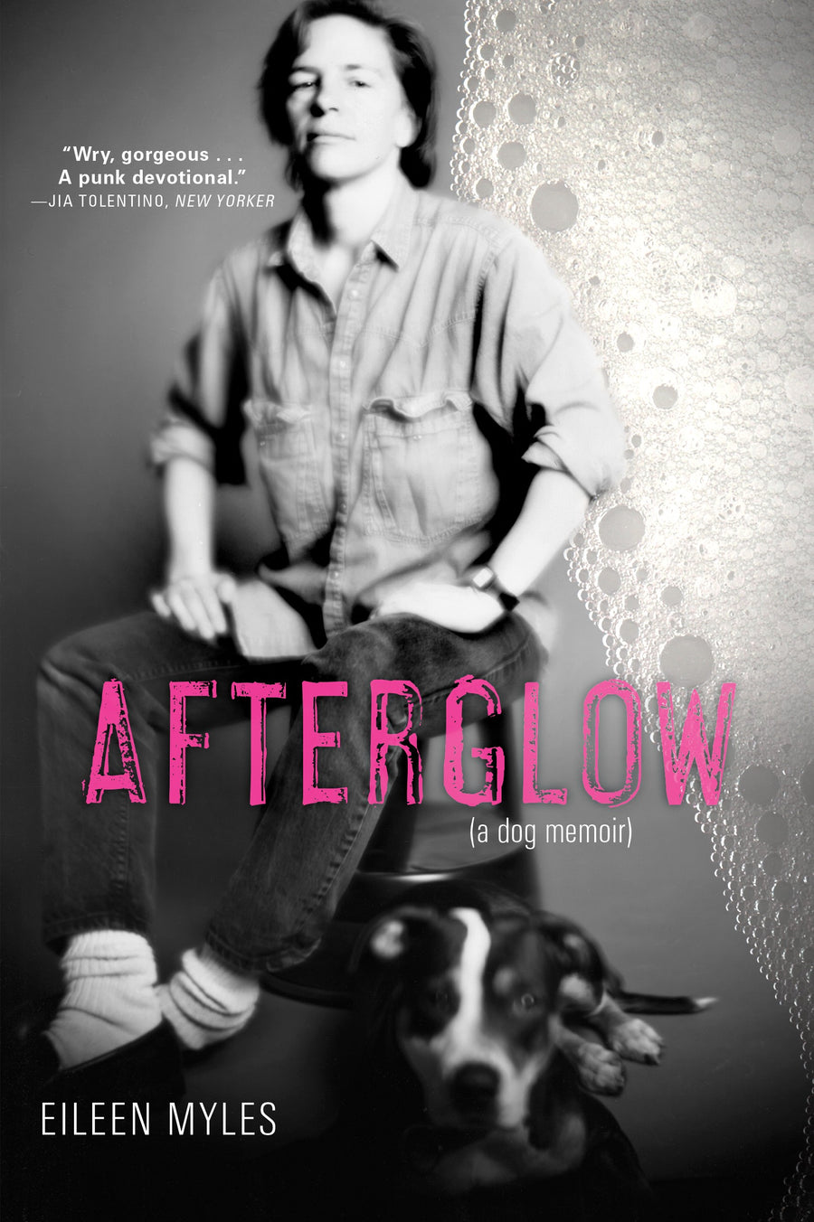 Afterglow (a dog memoir)