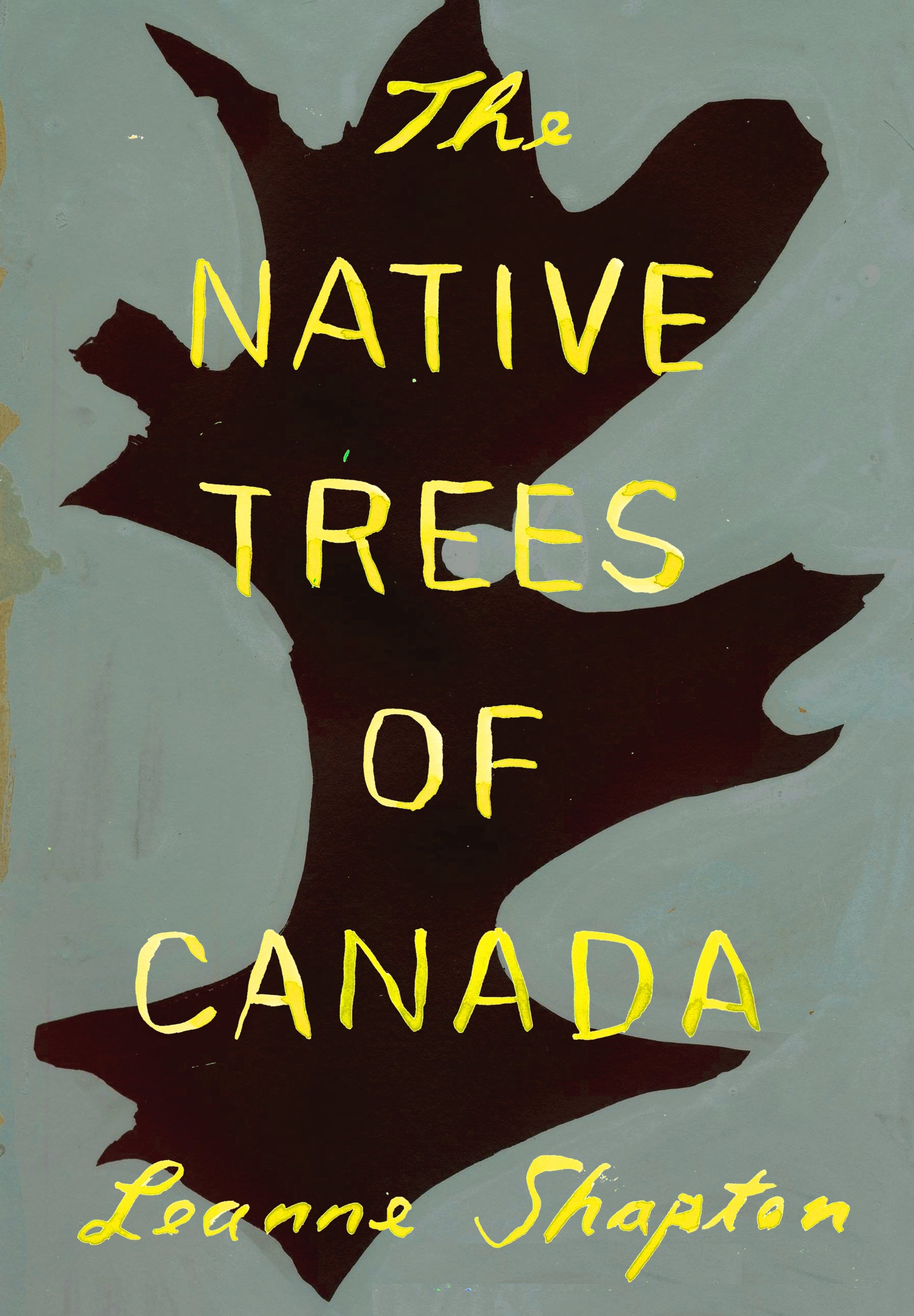 The Native Trees of Canada – De Stiil Books