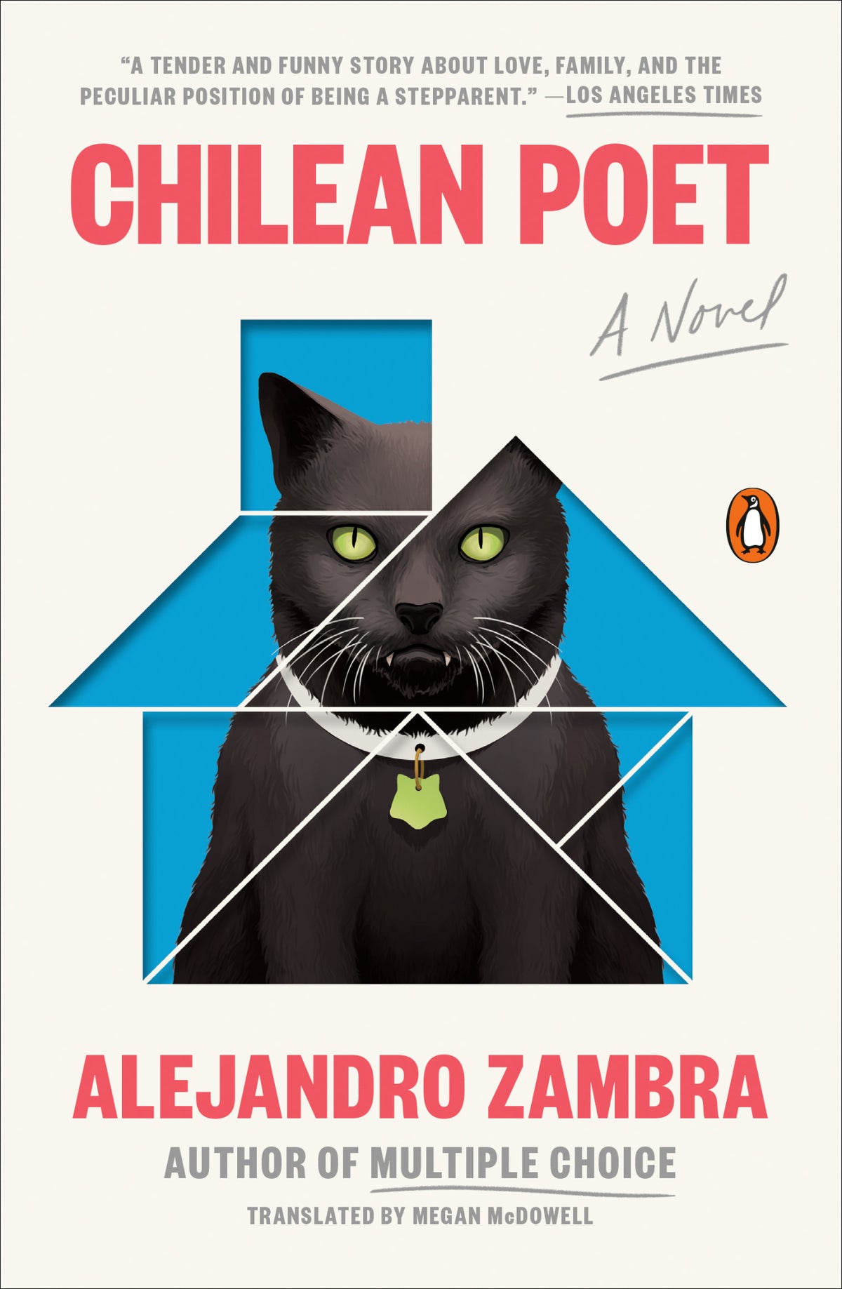 Cover of Chilean Poet