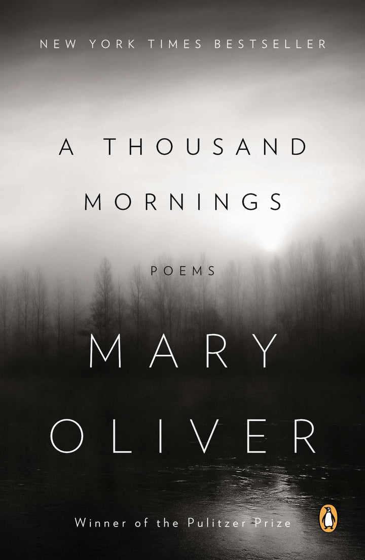 Cover of A Thousand Mornings