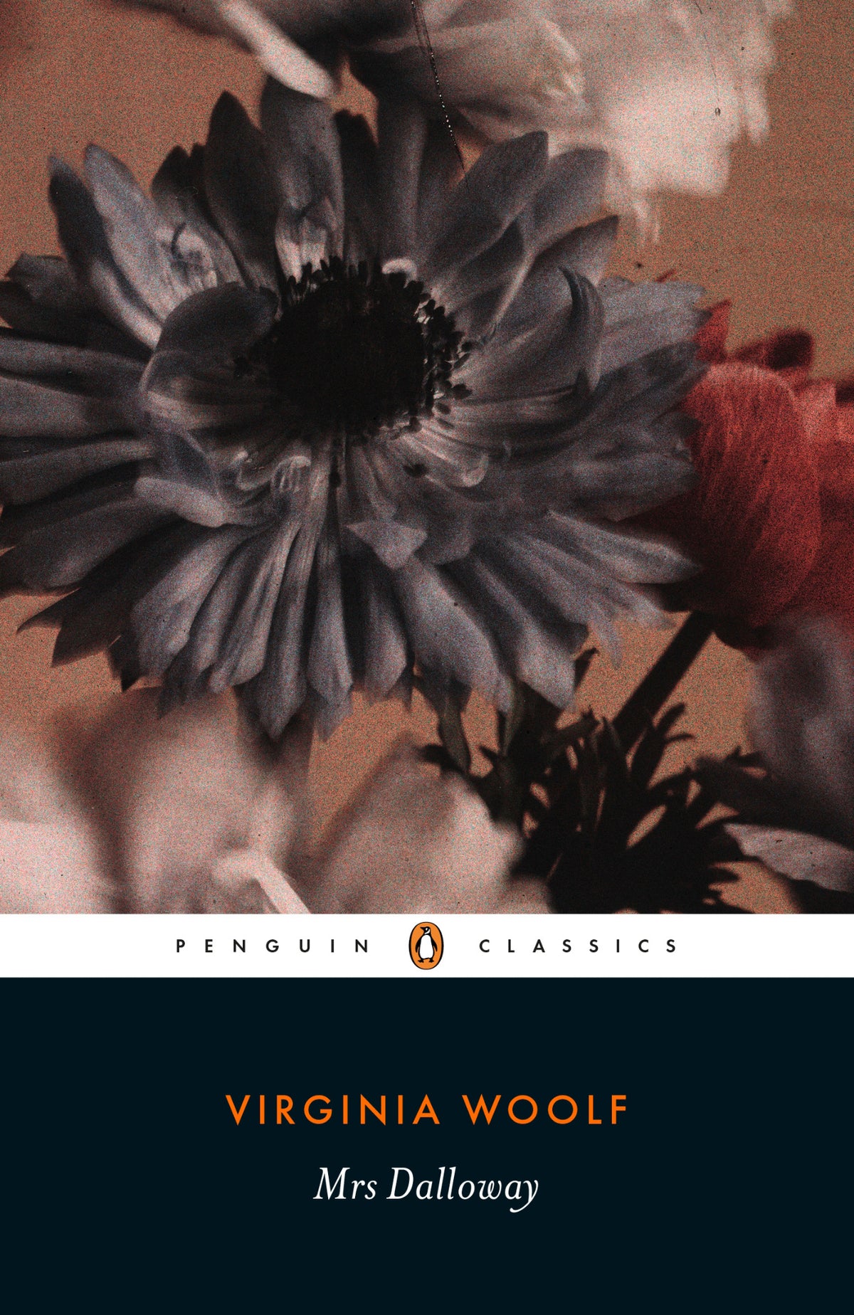 Cover of Mrs Dalloway