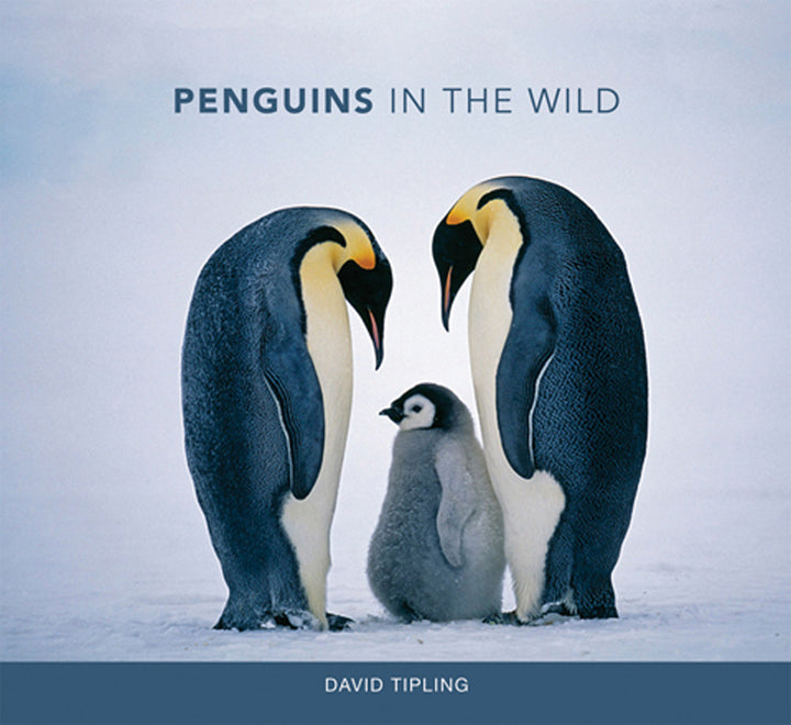 Cover of Penguins in the Wild