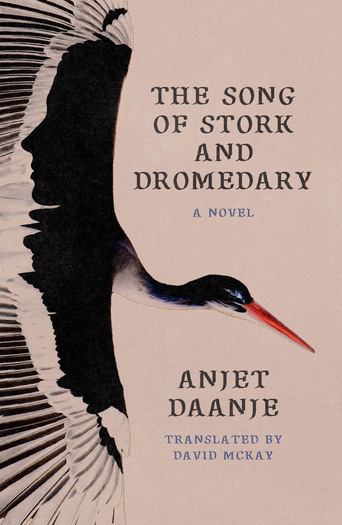 Cover of The Song of Stork and Dromedary