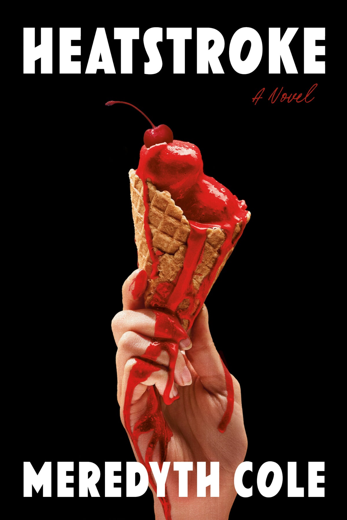 Cover of Heatstroke