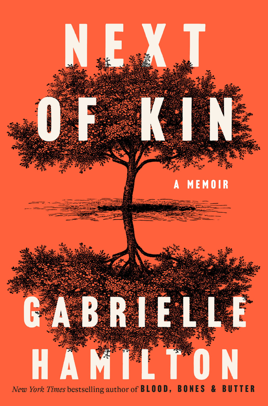 Cover of Next of Kin