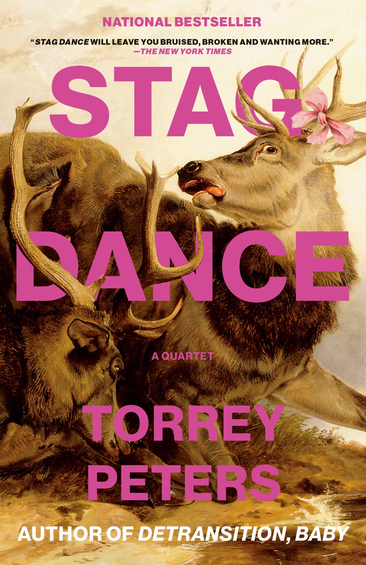 Cover of Stag Dance