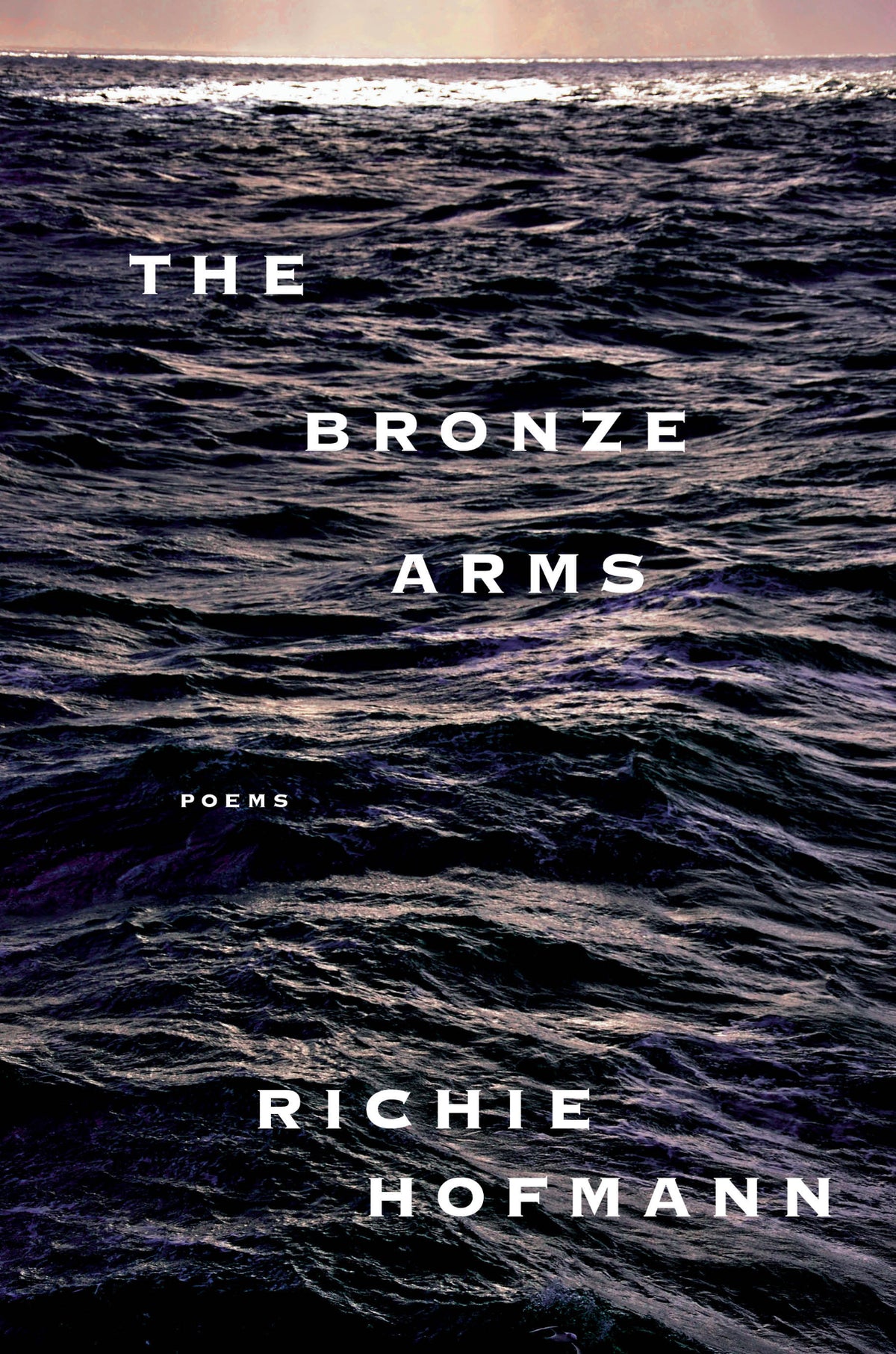 Cover of The Bronze Arms
