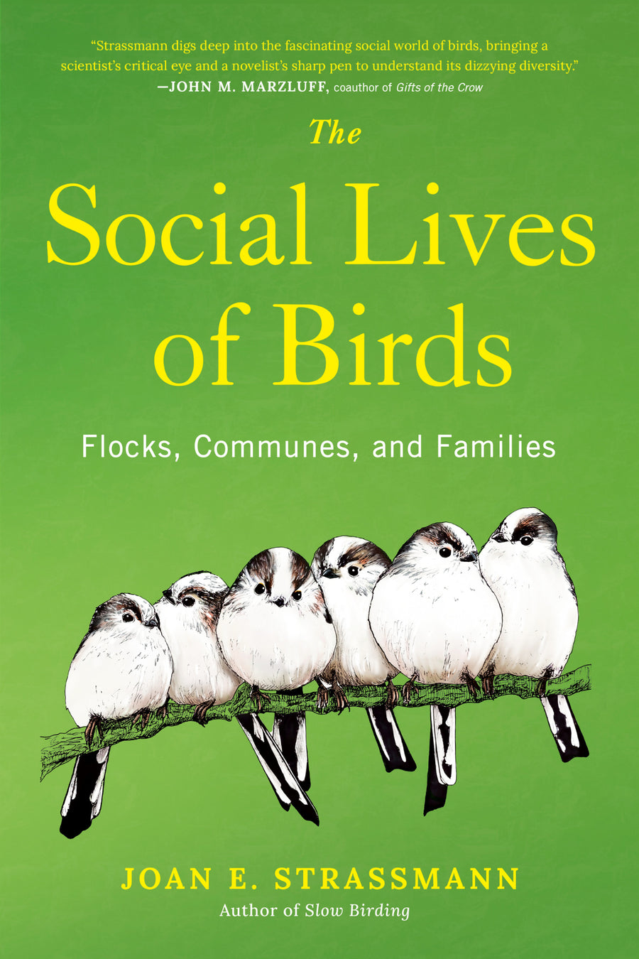 Cover of The Social Lives of Birds