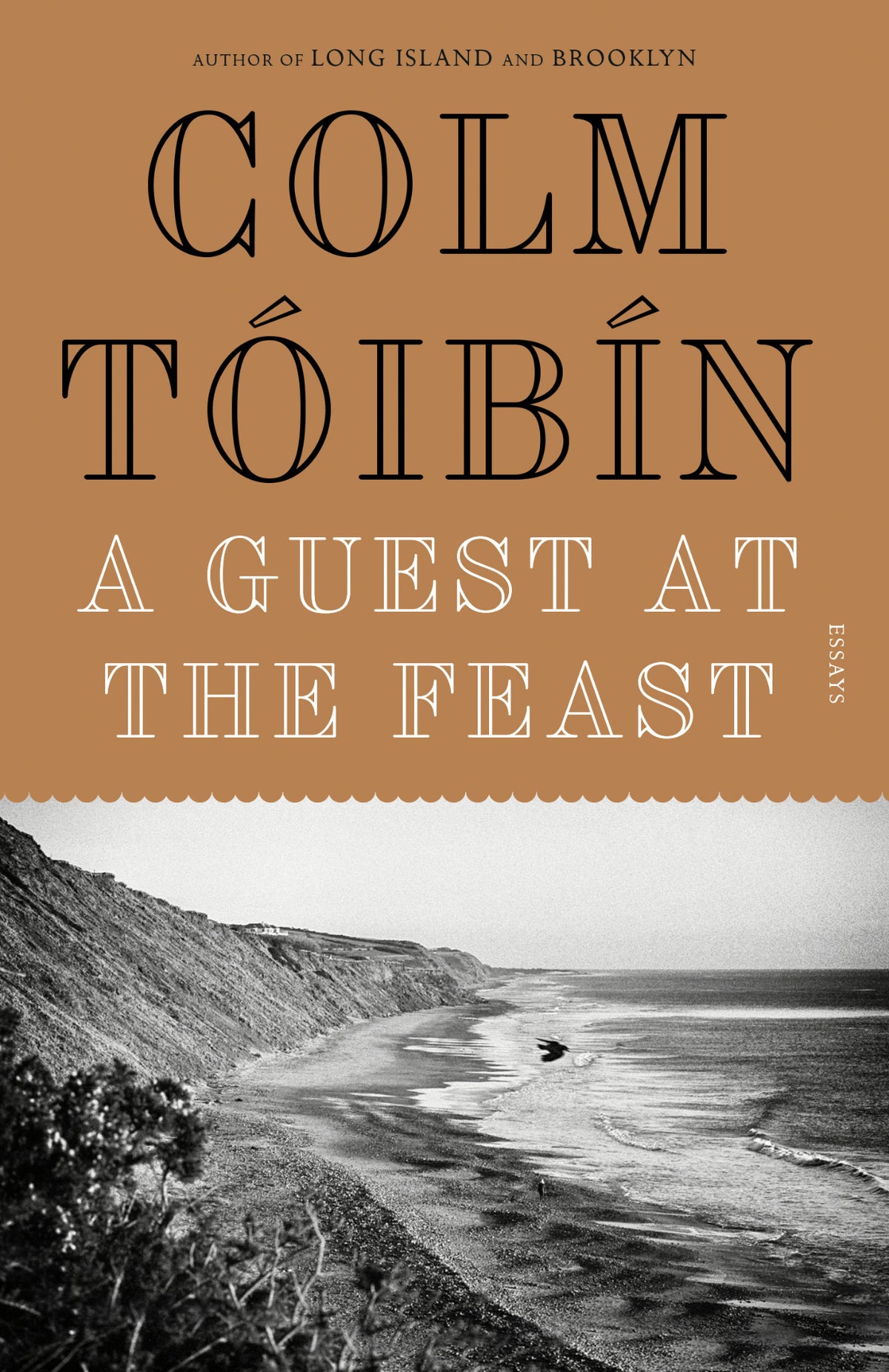Cover of A Guest at the Feast