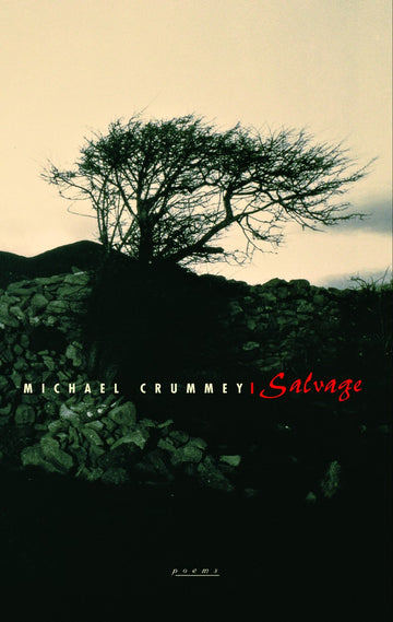 Cover of Salvage