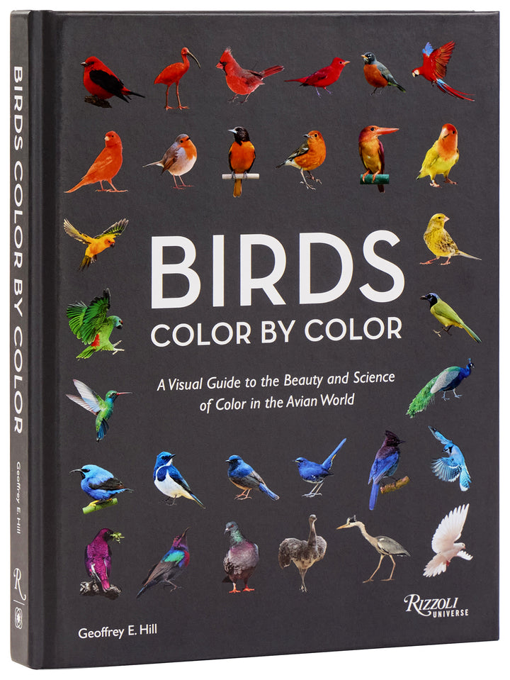 Cover of Birds Color by Color