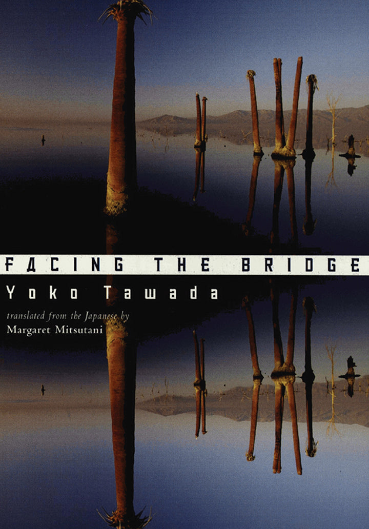 Cover of Facing the Bridge