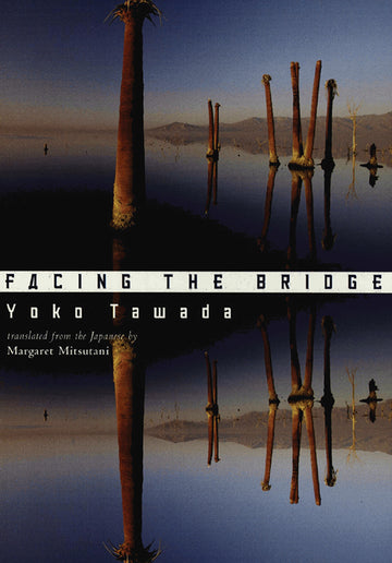 Cover of Facing the Bridge