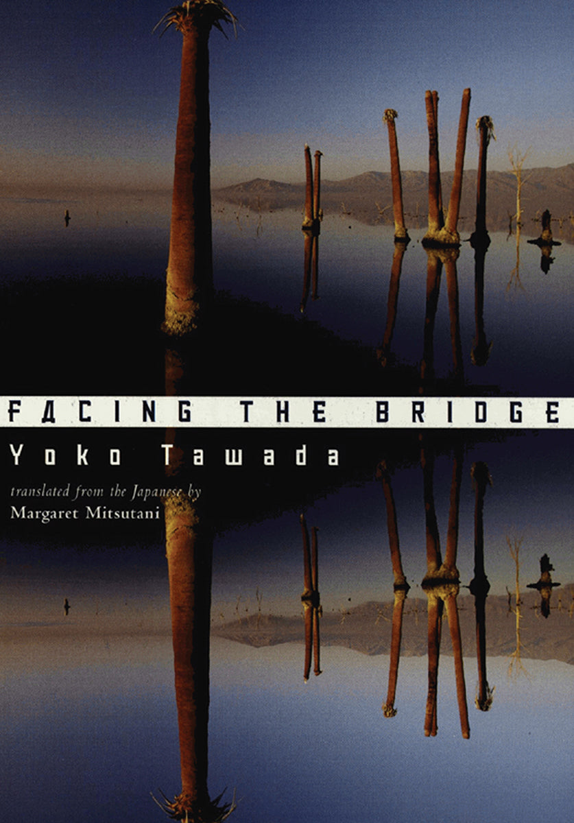 Cover of Facing the Bridge