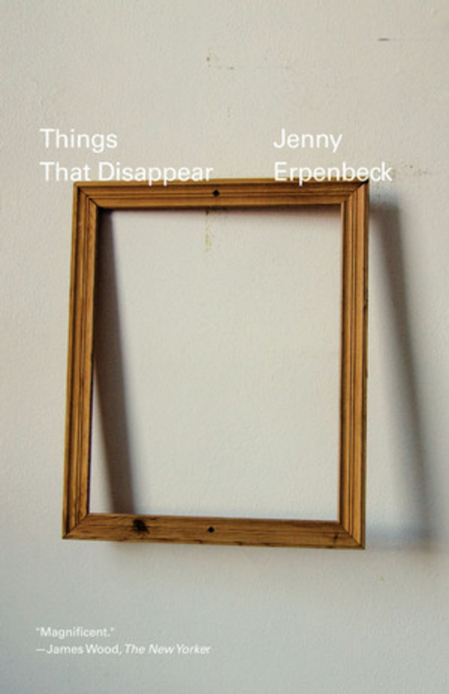 Cover of Things That Disappear