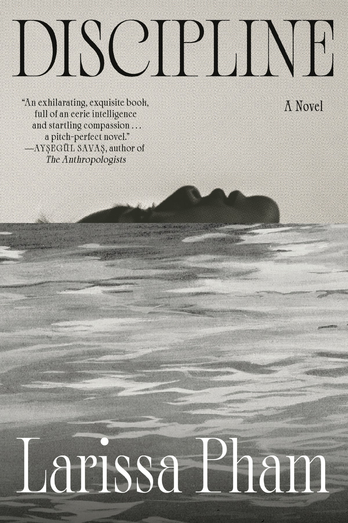 Cover of Discipline