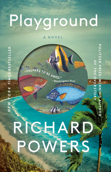 Cover of Playground