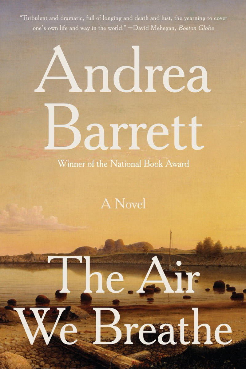 Cover of The Air We Breathe