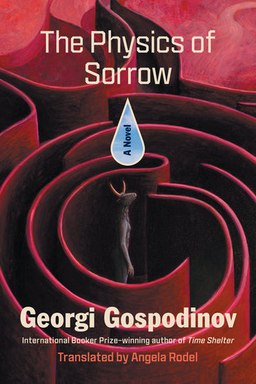 Cover of The Physics of Sorrow