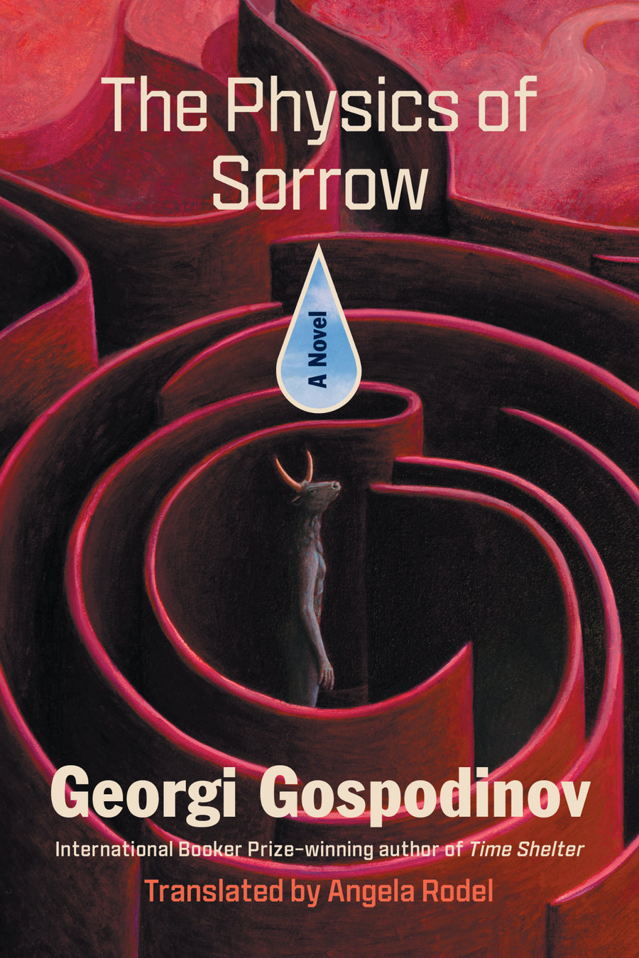Cover of The Physics of Sorrow