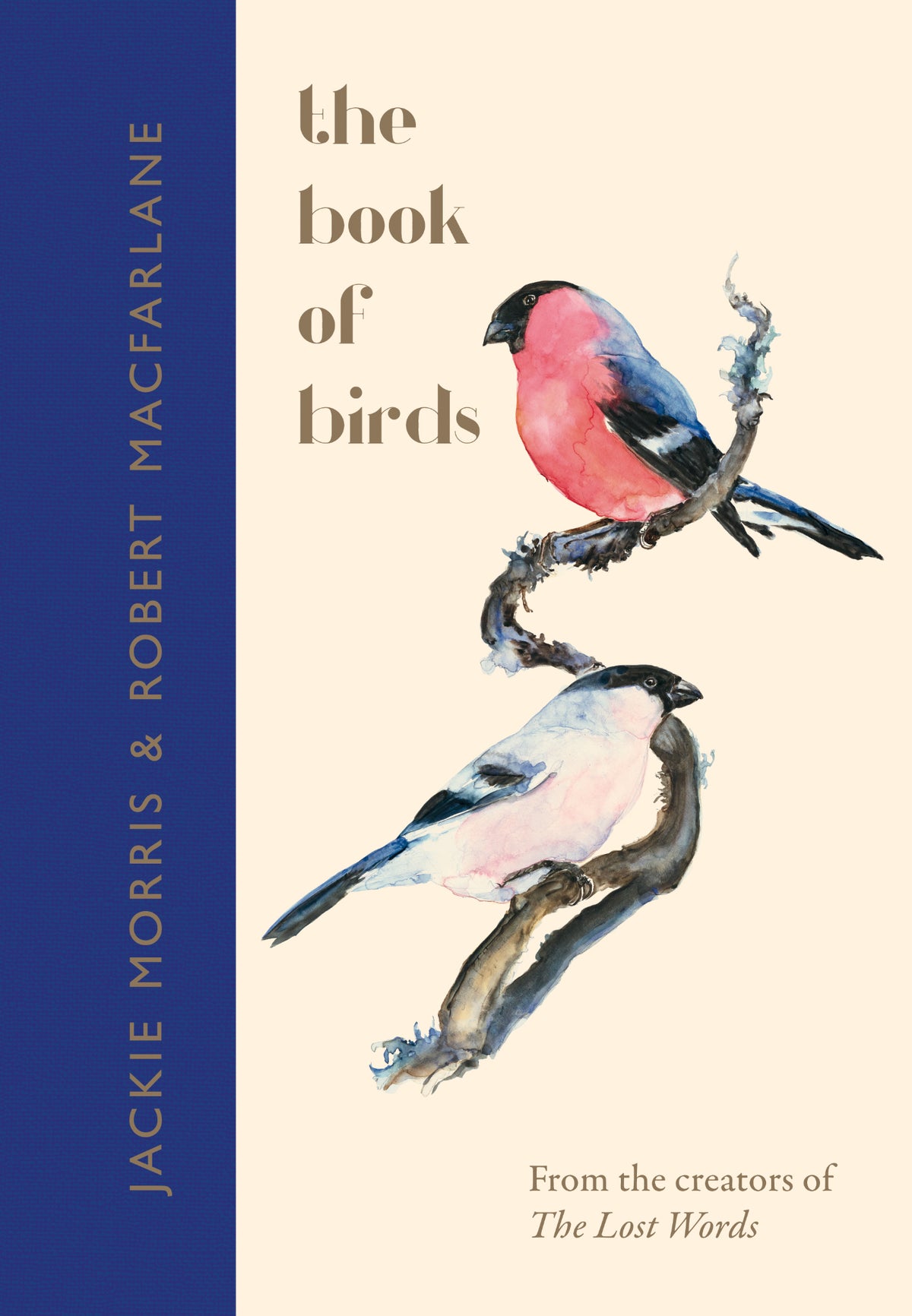 Cover of The Book of Birds