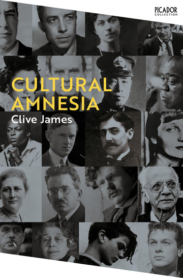 Cover of Cultural Amnesia