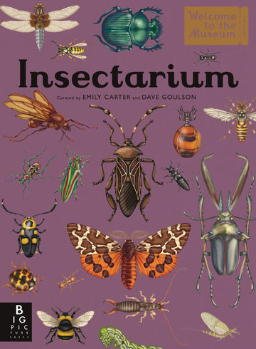 Cover of Insectarium