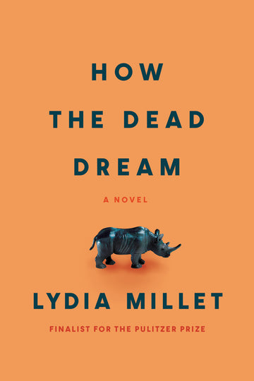 Cover of How the Dead Dream