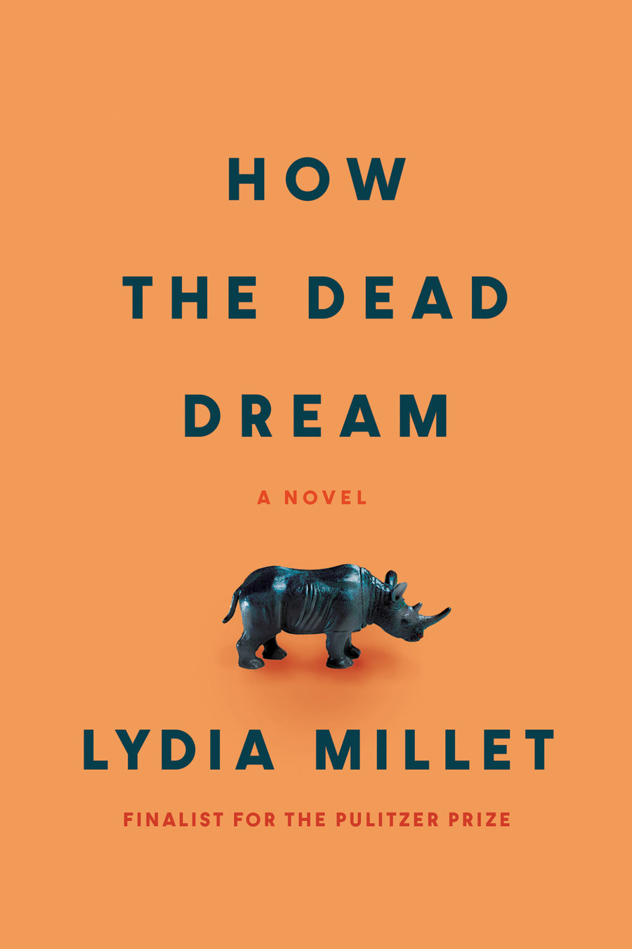 Cover of How the Dead Dream