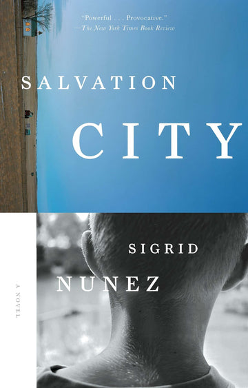 Cover of Salvation City