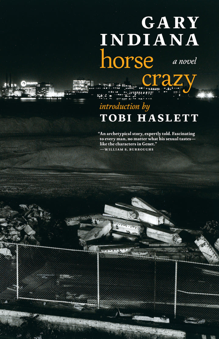 Cover of Horse Crazy