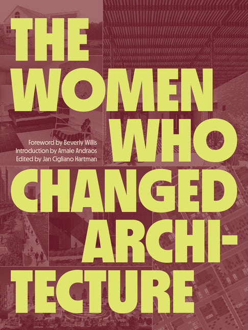 Cover of The Women Who Changed Architecture