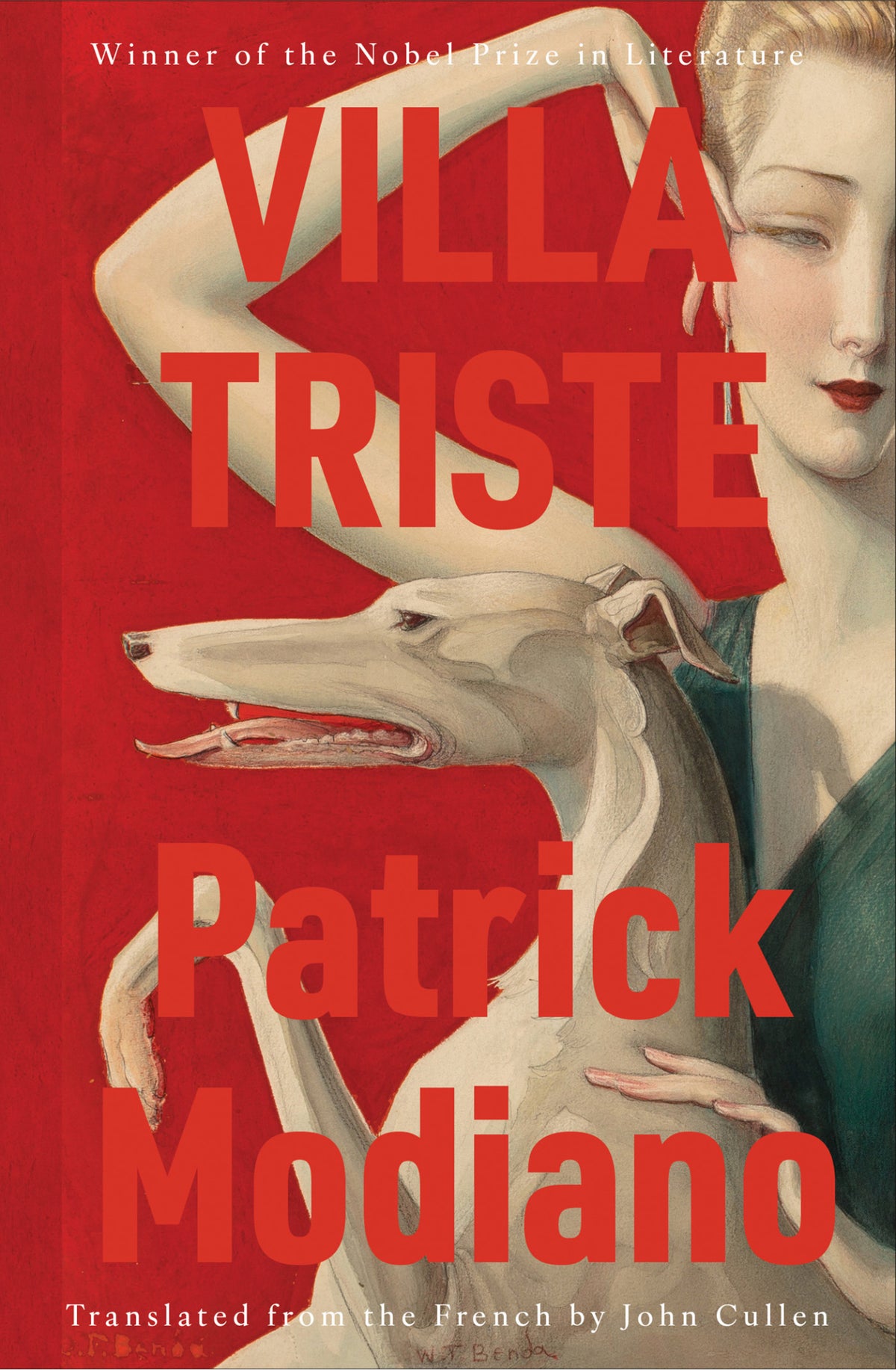 Cover of Villa Triste