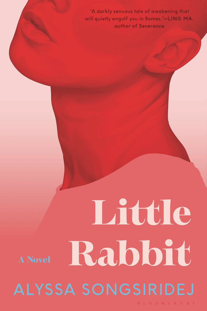 Cover of Little Rabbit