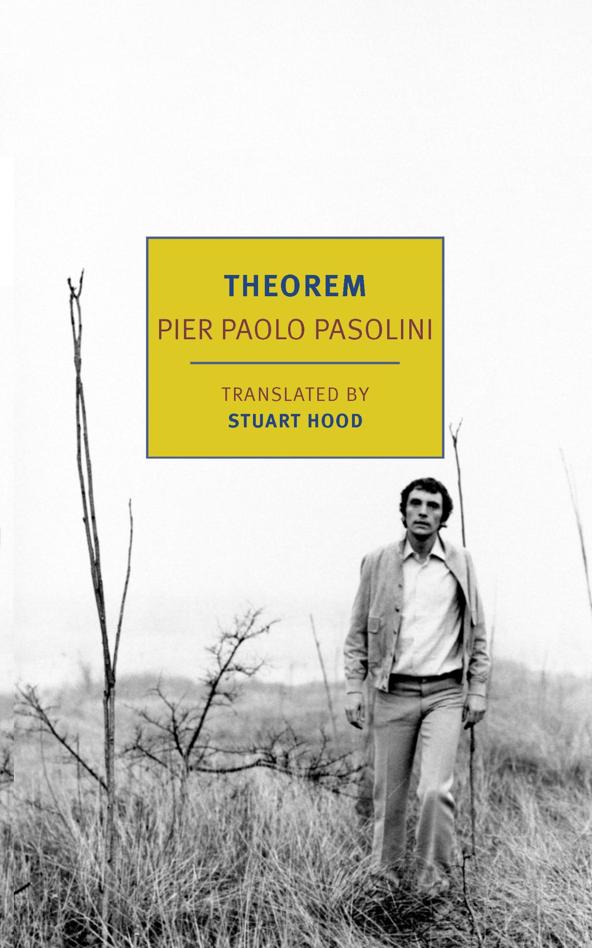 Cover of Theorem