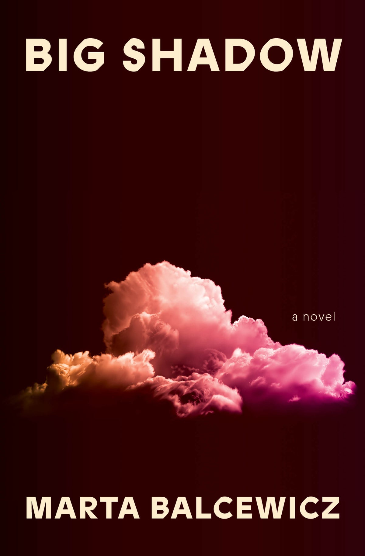 Cover of Big Shadow