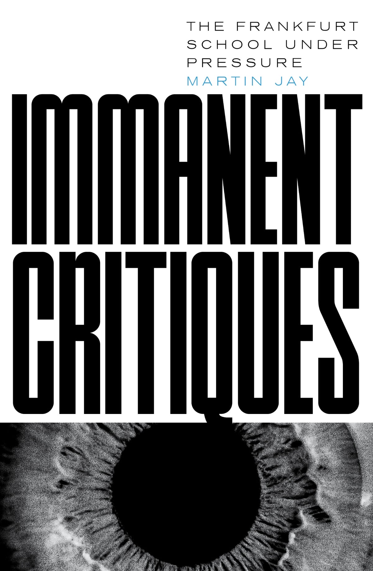 Cover of Immanent Critiques