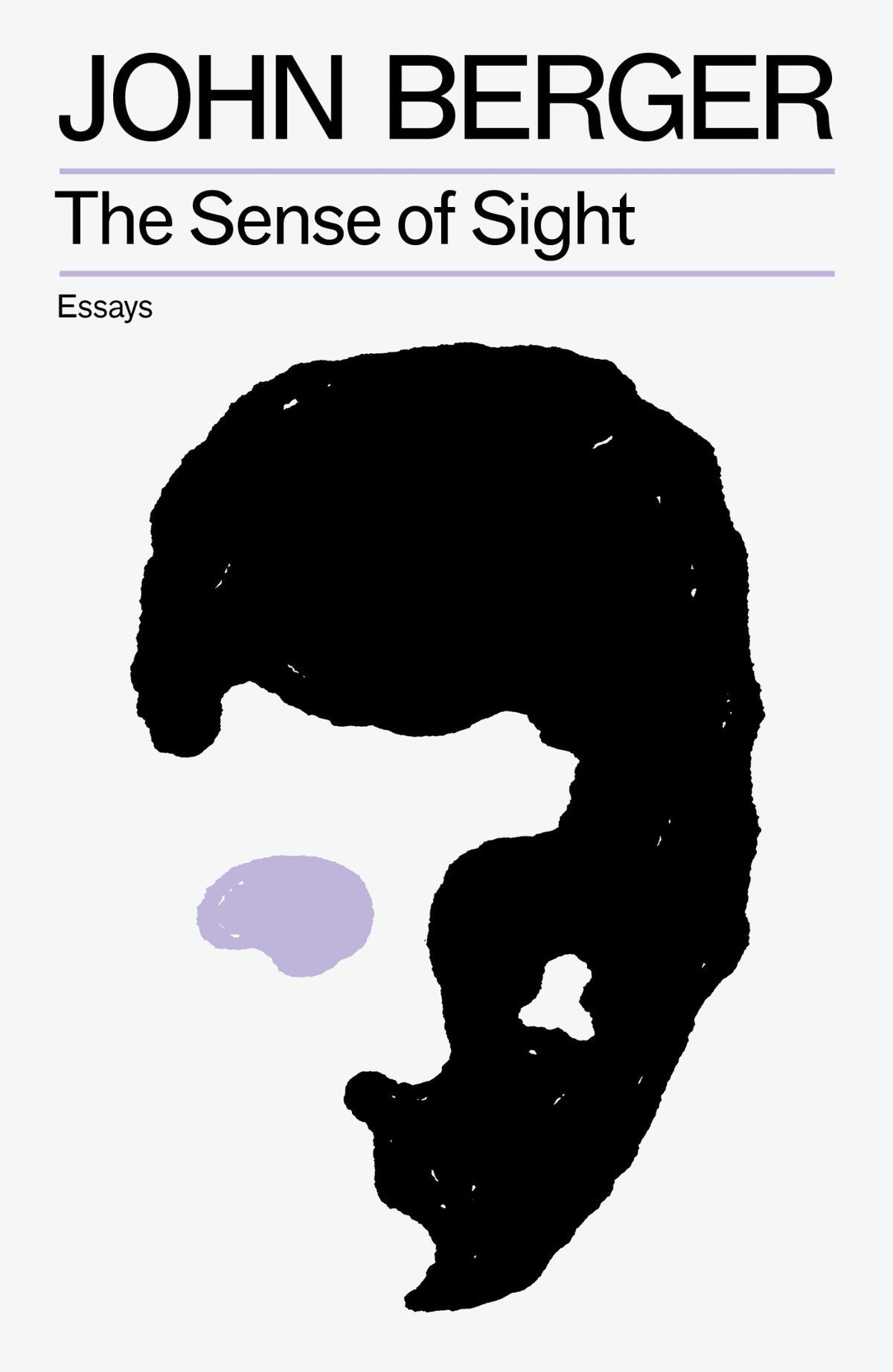 Cover of The Sense of Sight