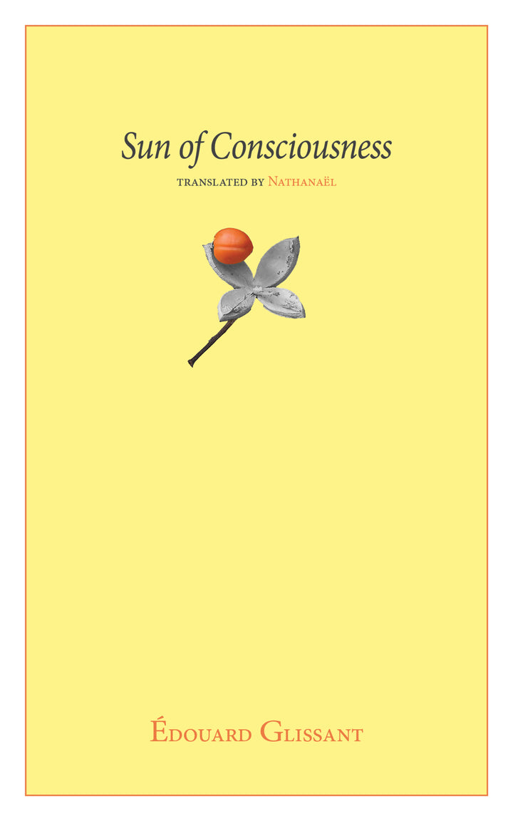 Cover of Sun of Consciousness