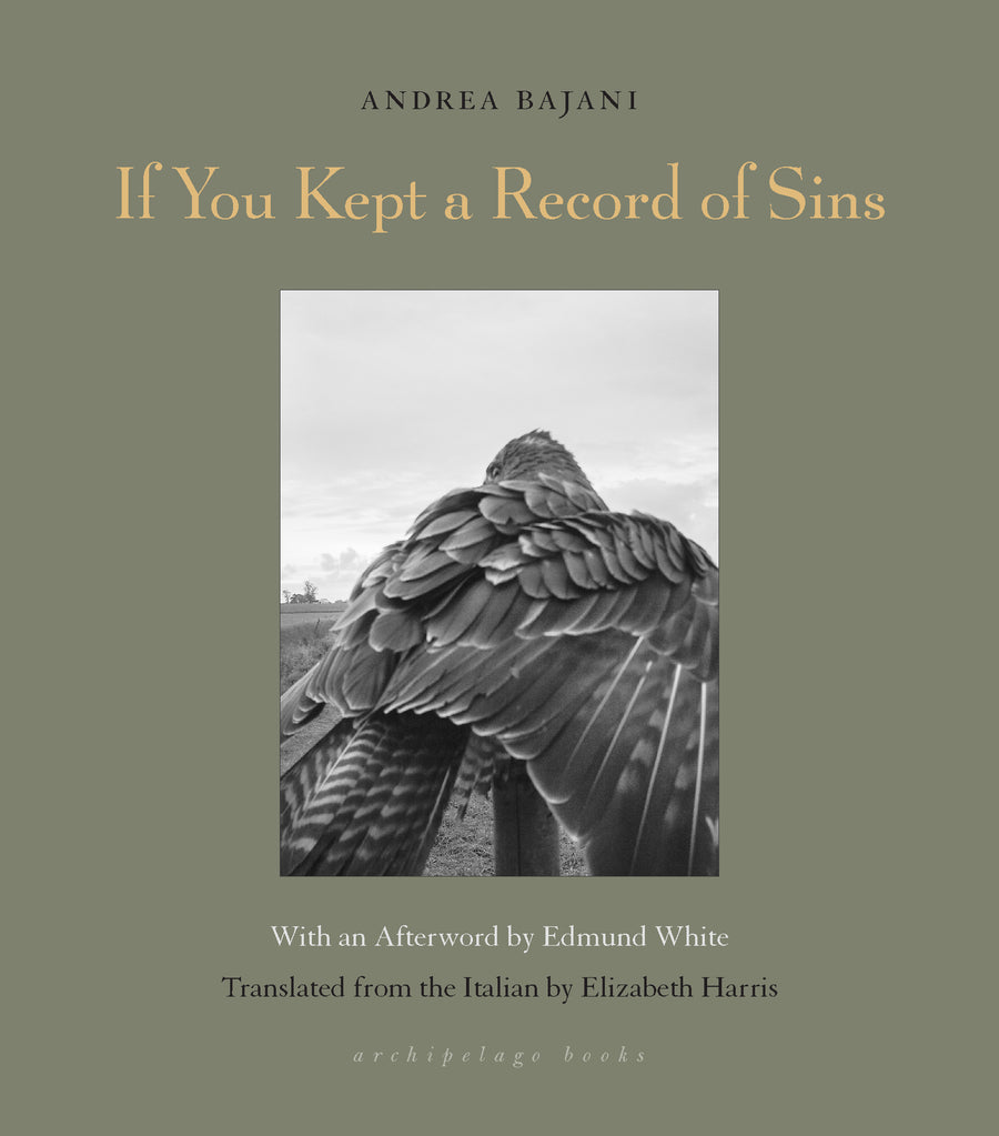 Cover of If You Kept a Record of Sins