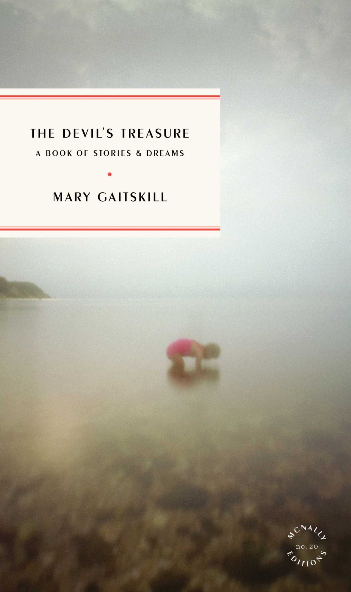 Cover of The Devil's Treasure