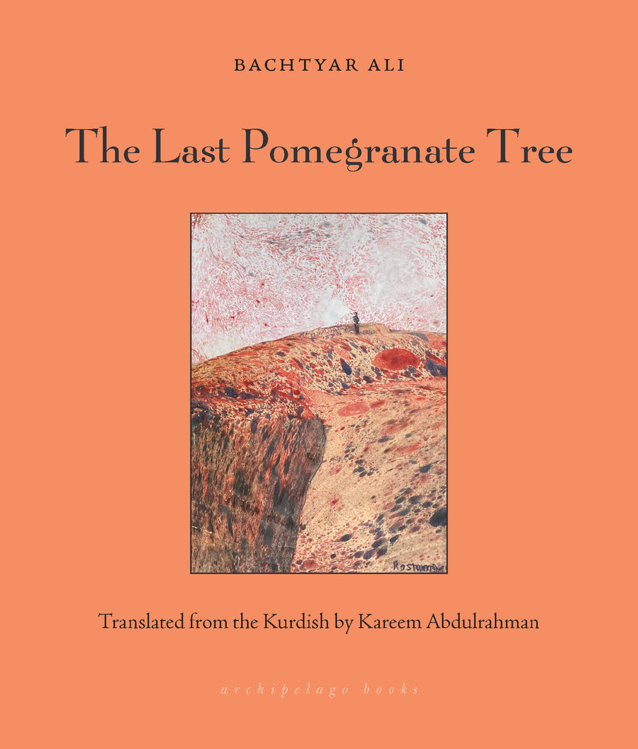 Cover of The Last Pomegranate Tree