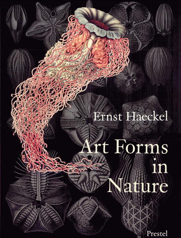 Cover of Art Forms in Nature