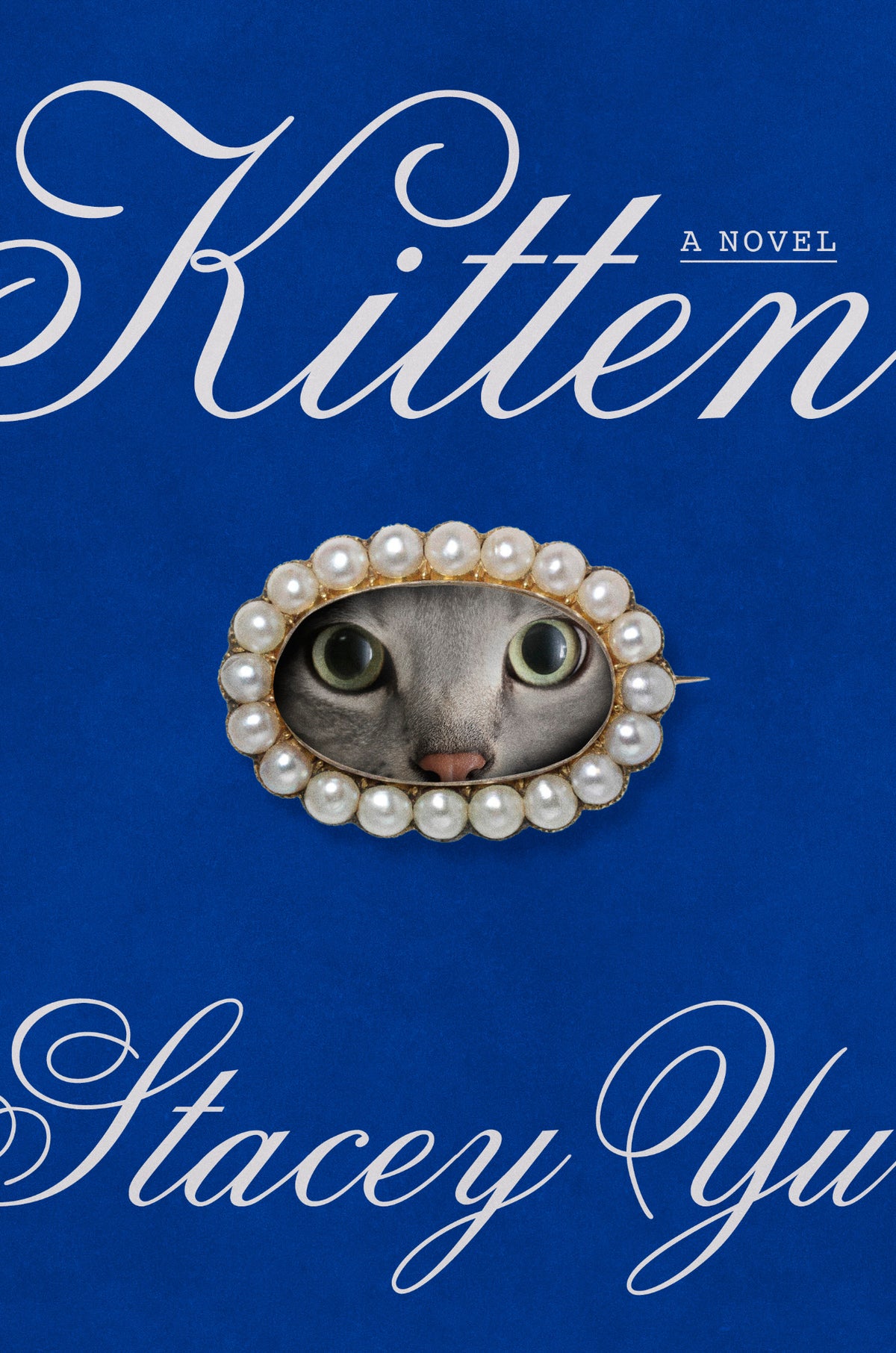 Cover of Kitten