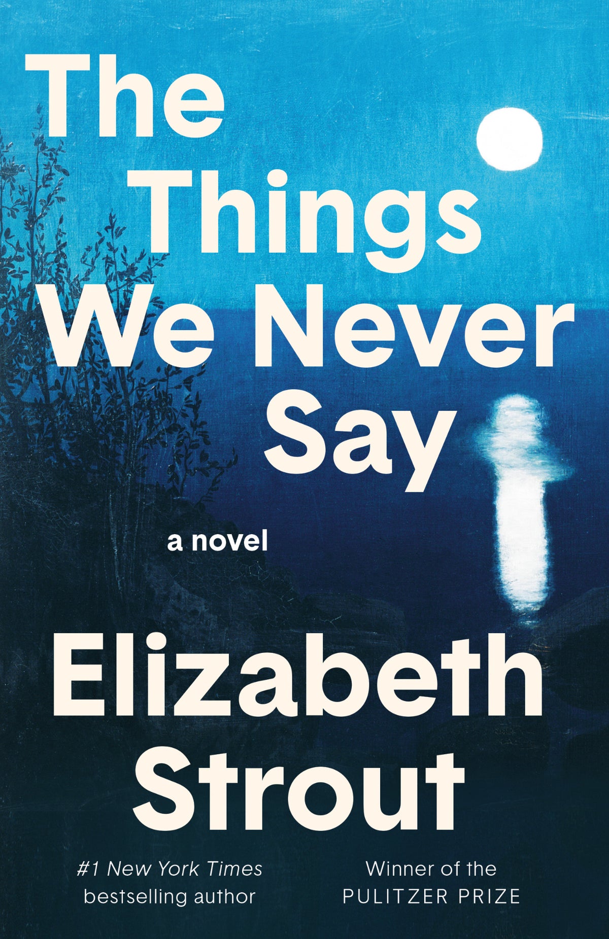 Cover of The Things We Never Say