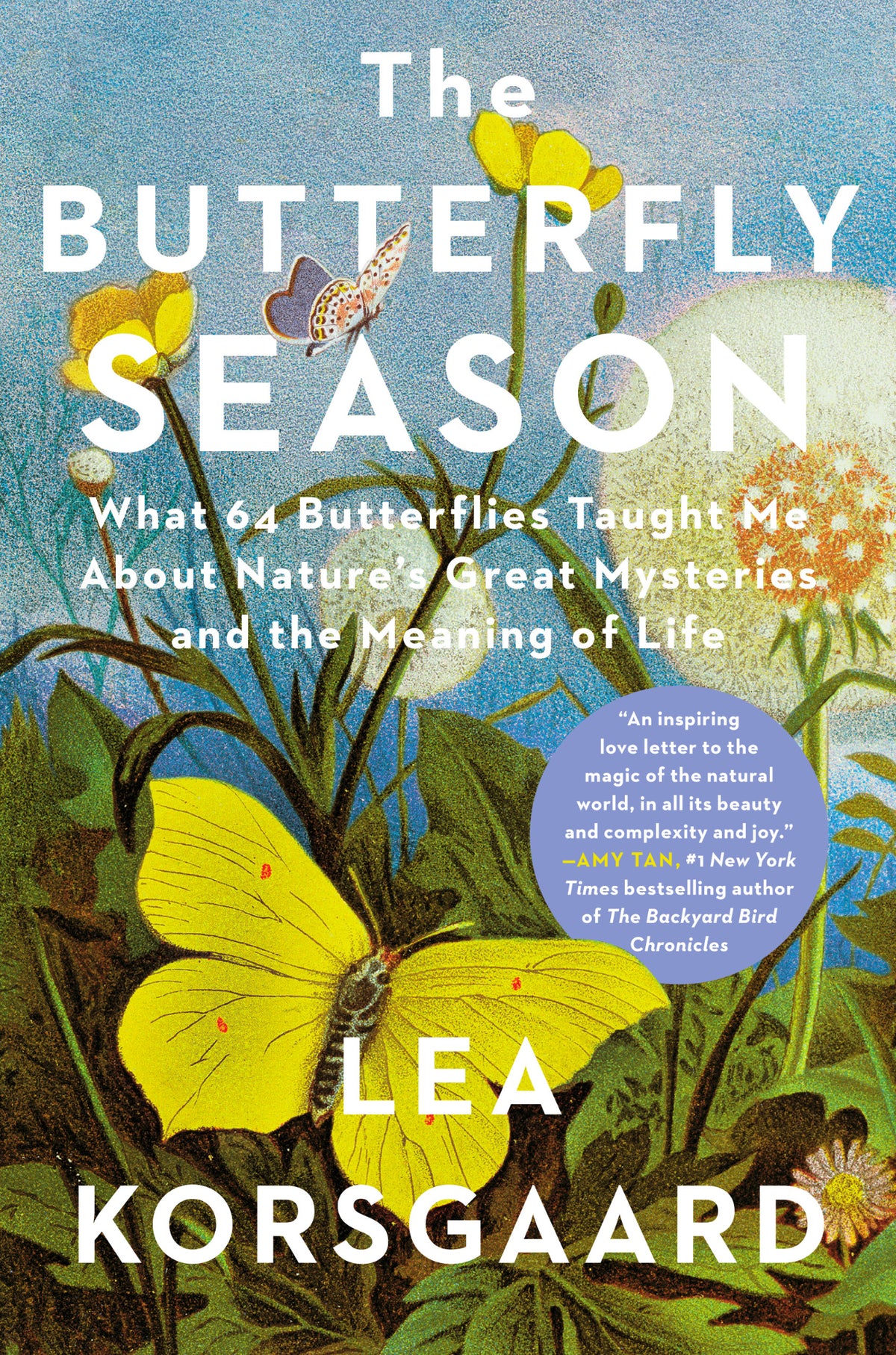 Cover of The Butterfly Season