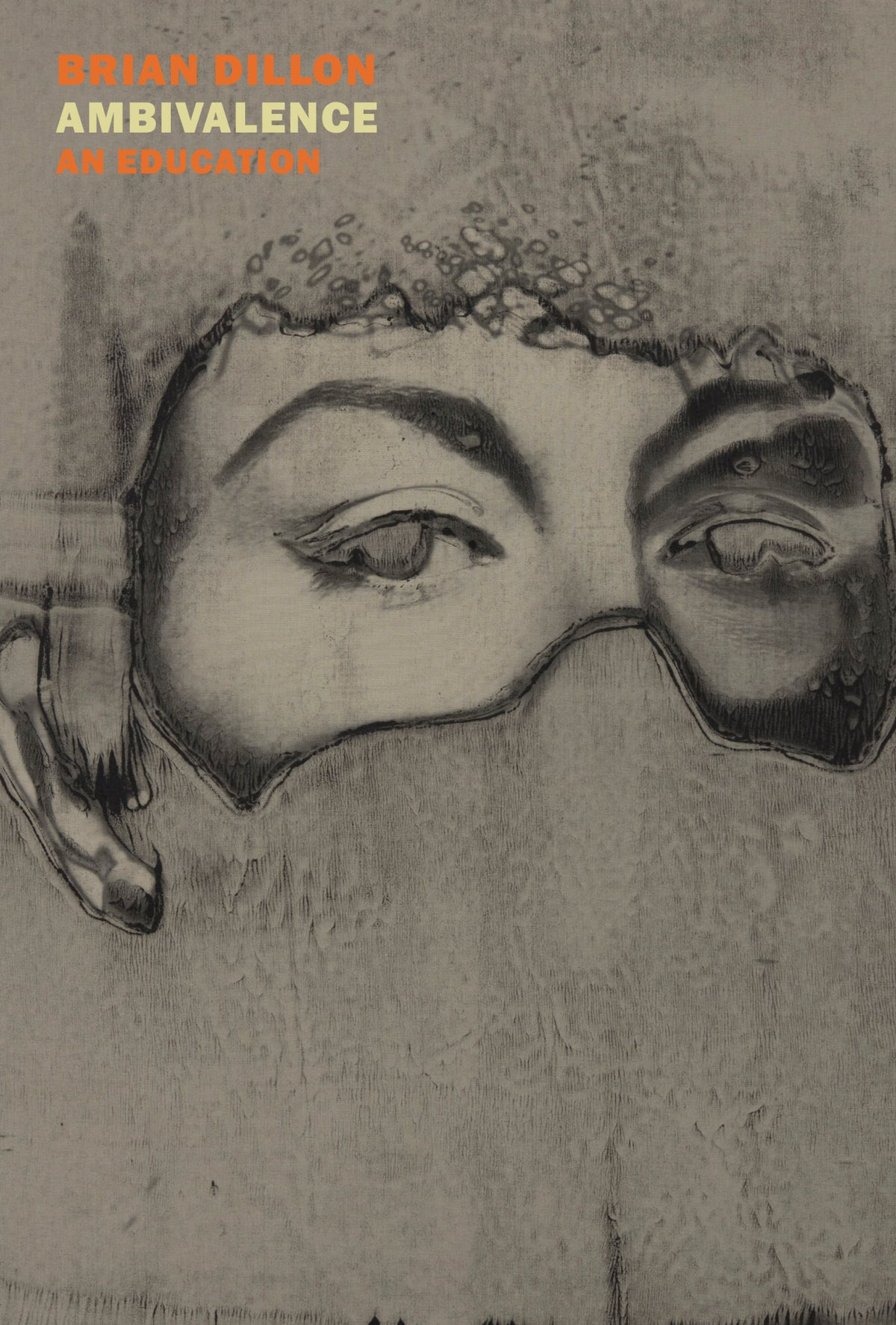 Cover of Ambivalence